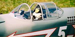 Duxford June 2005