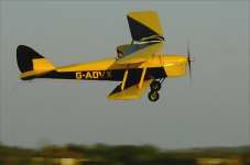 Tiger Moth
