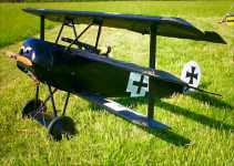 Flair Triplane