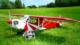Clipped Wi ng Cub