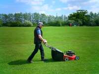 Phil mowing the patch