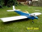 New low wing trainer