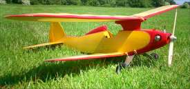 Chicken Hawk