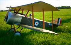 Sopwith Pup third scale