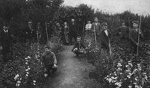 School Garden